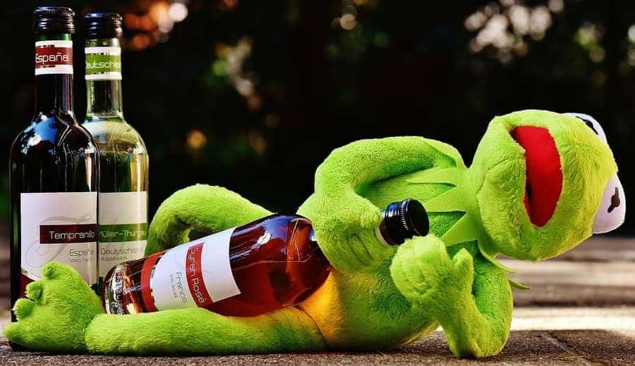 kermit-dronken