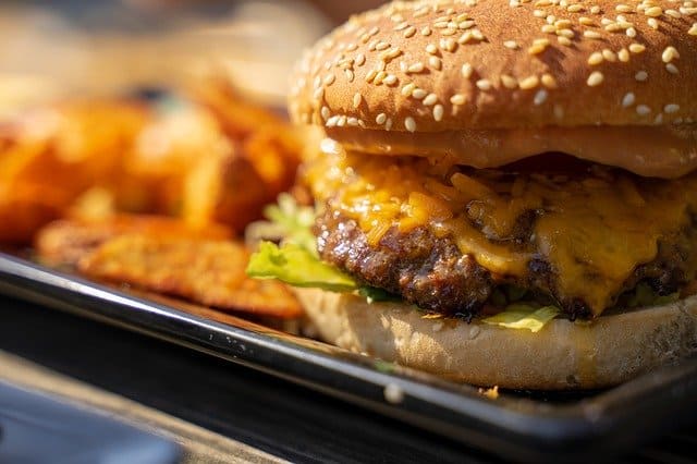 hamburger